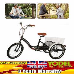 20 Adult Tricycle 3 Wheels 1 Speed Bicycle Seniors Cargo Trike +Shopping Basket