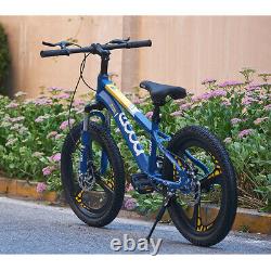 20 Brand New 20 inch Bike Boys Blue Bicycle Cycling Disc Brake Kids Xmas Gifts