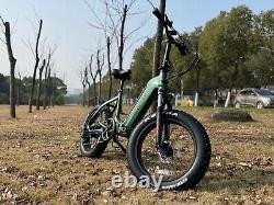 20'' Fat Tyre Electric Bicycle Bike Ebike 36V13AH Battery Fast Speed Green