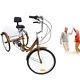 24 6-speed Adult Tricycle Rickshaw Trike 3-wheels Bike Backrest Shopping Basket