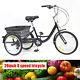 24 Adult Bicycle Tricycle 8-speed 3 Wheel Tricycle Trike Tricycle Bike Withbasket