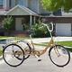 24'' Adult Tricycle Shopping Cruise Trike 6 Speed 3 Wheel Bicycle With Basket