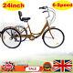 24 Adult Trike Bike 3 Wheels Tricycle 6-speed Bicycle With Shopping Basket