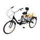24'' Folding Adult Tricycle 7 Speed Cruise Trike Bicycle 3-wheel Bike With Basket