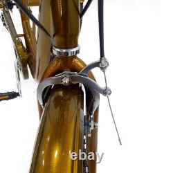 24'' Wheel Adult Bike 6 Speeds Rickshaw Trike Gold Adult Tricycle with Backrest