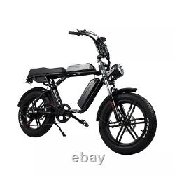 Black Electric Designer Bike 48V 500 W 750 W 20 Inch Fat Off Road Fast Bike