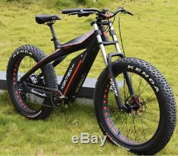 Carbon Fiber e-bike mountain 8 speed high quality 750w 48V electric bicycle