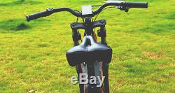 Carbon Fiber e-bike mountain 8 speed high quality 750w 48V electric bicycle