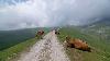 Crossing Picos De Europa Indoor Cycling Training