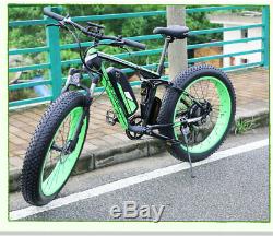 Cyrusher Green 1000W 48V Electric Mountain Fat Tire Bike Double Suspension 5 PAS