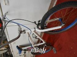 DP Firebird Freestyler BMX Araya Wheels Original 80's bike