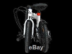 Ecosmo 16 Wheel Lightweight Alloy Folding Bicycle Bike 6 SP, Dual Disc -16AF02W