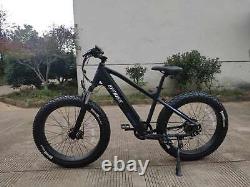 Electric Bike MTB Fat Tyre 36V 13AH Lithium Battery 350W TDL6135