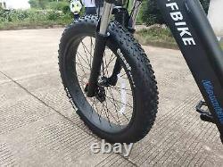 Electric Bike MTB Fat Tyre 36V 13AH Lithium Battery 350W TDL6135