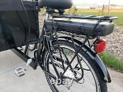 Electric Lastenrad Bakfiets Cargobike vélo cargo Cangoo Speedy ready to go
