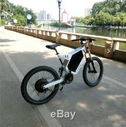 Electric bicycle eBike Stealth Bomber e-Bike