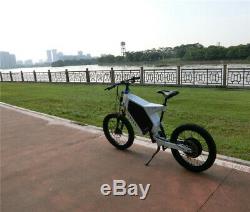 Electric bicycle eBike Stealth Bomber e-Bike