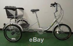 Electric -trekidoo Adult Tricycle To Carry Two Kids On The Back