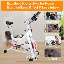 Evoland Exercise Training Bike Indoor Cycling Bicycle Trainer LCD Monitor