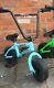 Fro Systems Renegade Stunt Mini Bmx Bike Sky Blue Adult And Kids