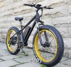 Fat tyre electric mountain bike. Powerful 1000w rear hub motor. 17amp 48v e-Bike