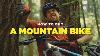 How To Buy A Mountain Bike