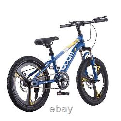 Kids Bike Bicycle 20 inch Wheel Bike Outdoor Cycling Disc Brake Boys Girls Gifts