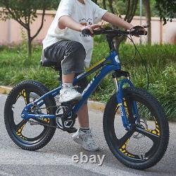 Kids Bike Boys Blue Bicycle 20 inch Wheels Bike Outdoor Cycling Disc Brake Gift