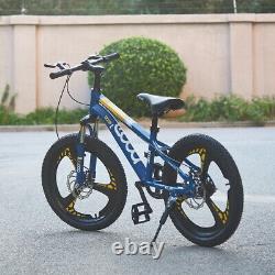Kids Bike Boys Blue Bicycle 20 inch Wheels Outdoor Cycling Disc Brake Xmas Gift
