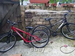Pair of bicycles