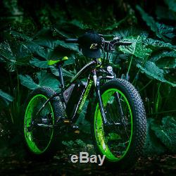 RICHBIT electric Fat bike 48v 1000w 26 EBike PAS+ Throttle 17AH Li- Battery