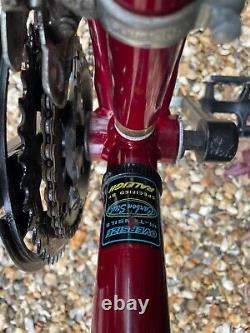 Raleigh Avalanch Endurance Series Mens Bicycle Bike 15 Speed Med Frame