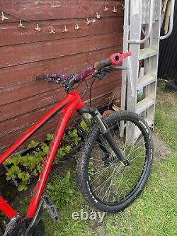 Specialized mountain bike