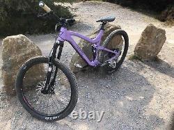 Vitus Escarpe Large Mountain Bike